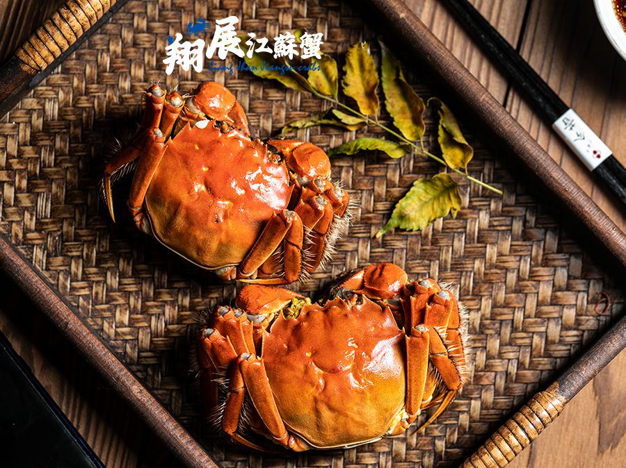 B圖