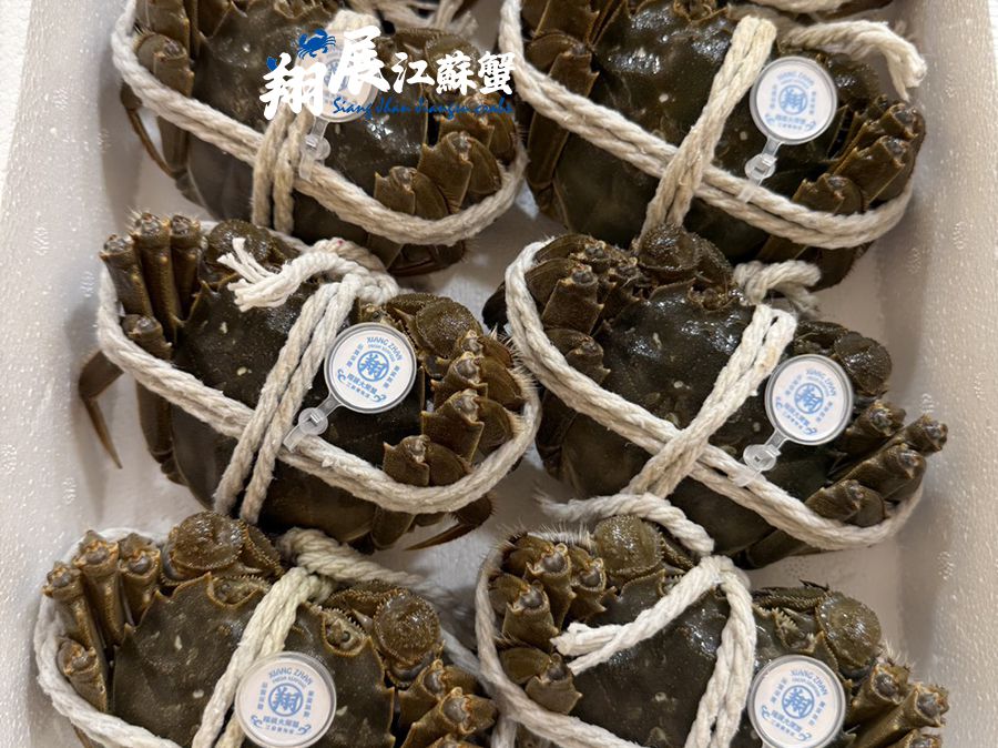 B圖