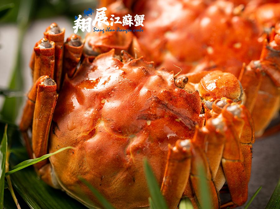 B圖