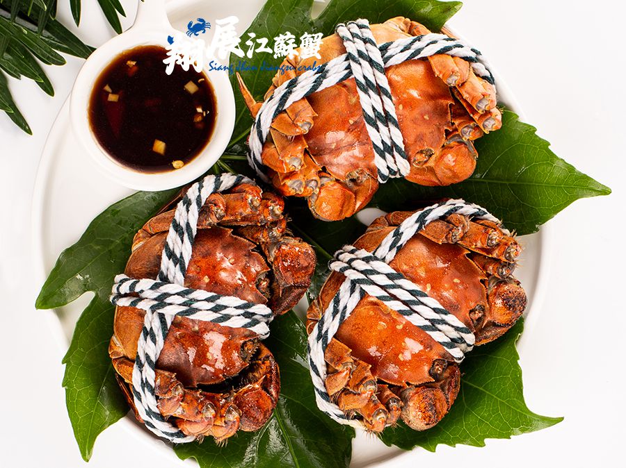 B圖